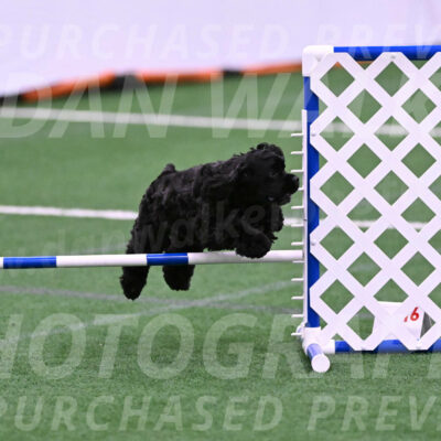 Superstition-Lisa-Trombo-20120