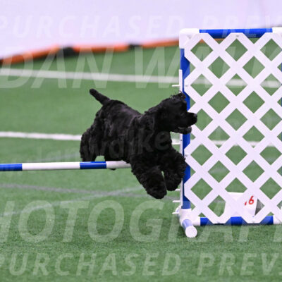 Superstition-Lisa-Trombo-20121