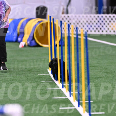 Superstition-Lisa-Trombo-20140