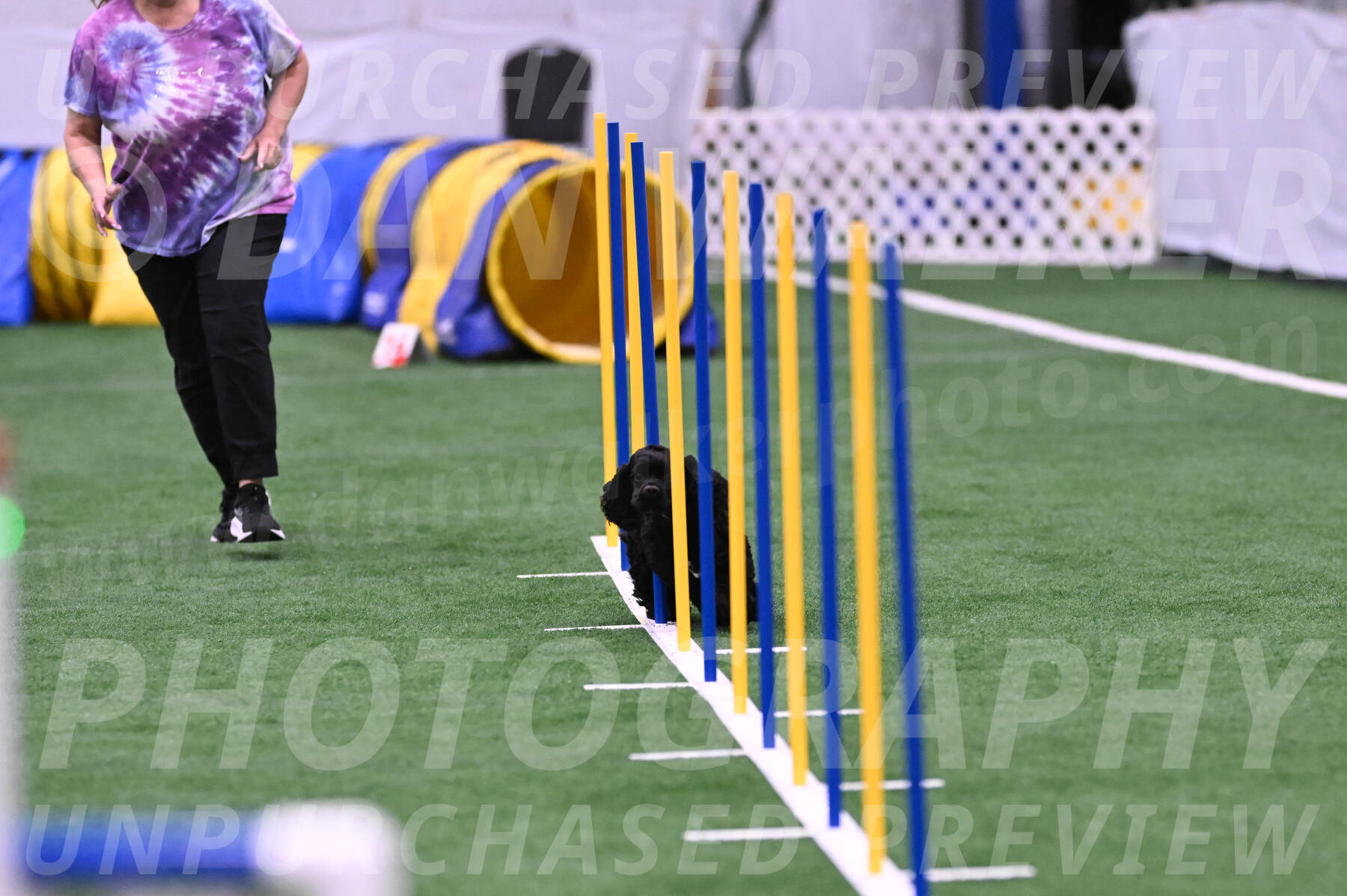 Superstition-Lisa-Trombo-20140
