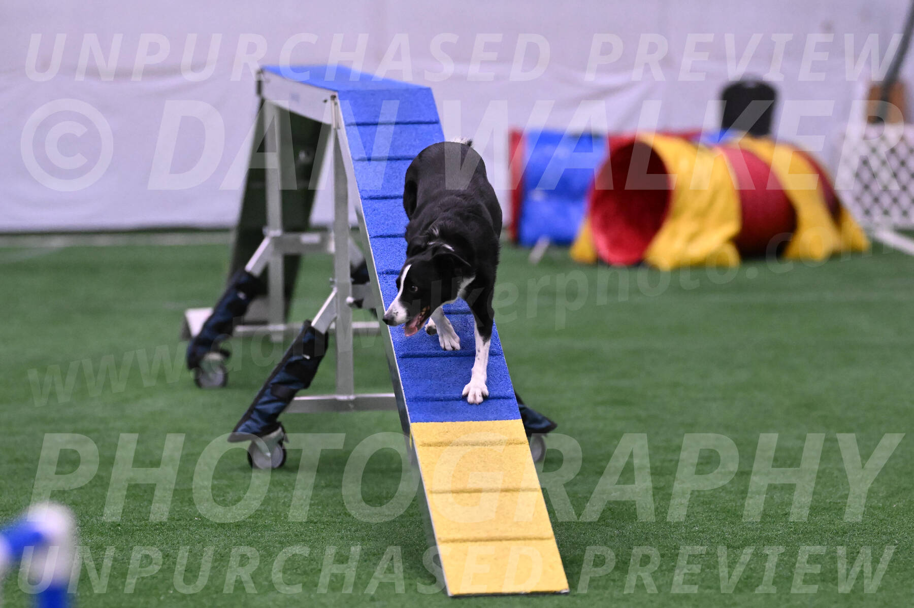 Sweep-Saralee-Bajaksouzian-13352
