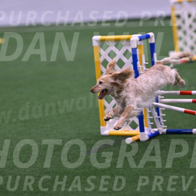 Swing-Lisa-Lombard-07244