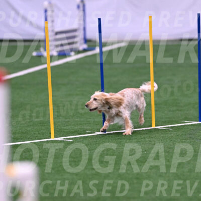 Swing-Lisa-Lombard-07292