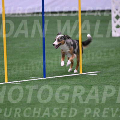 Thorin-Kelly-Fortney-05794