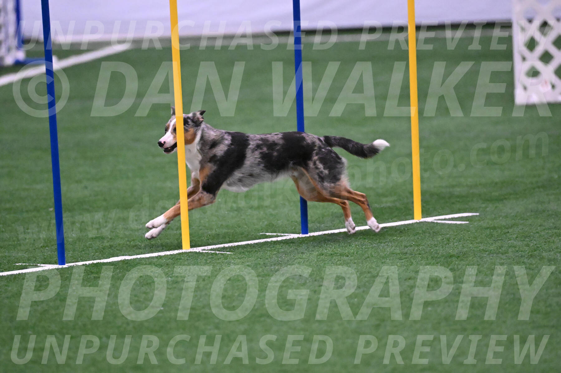 Thorin-Kelly-Fortney-05798