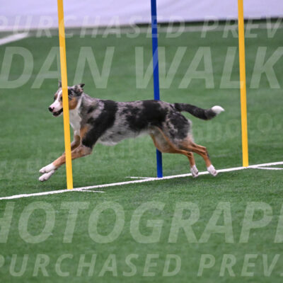 Thorin-Kelly-Fortney-05798