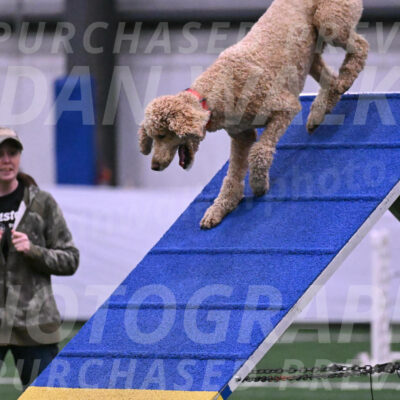 Tiger-James-Gillam-24619