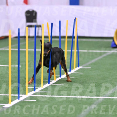 Ulla-Janice-Bourell-Casey-17382