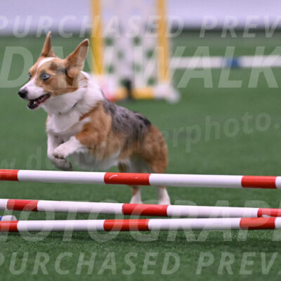 Winnie-Diane-Meredith-02021