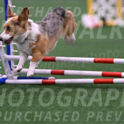 Winnie-Diane-Meredith-02024