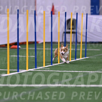 Winnie-Diane-Meredith-02027