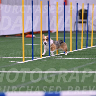 Winnie-Diane-Meredith-02038