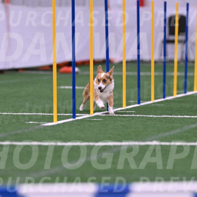 Winnie-Diane-Meredith-02041