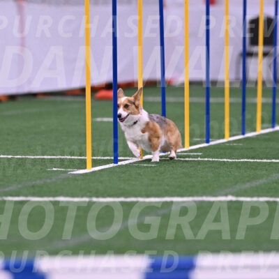 Winnie-Diane-Meredith-02045