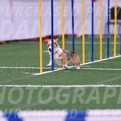 Winnie-Diane-Meredith-02046