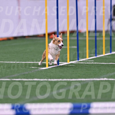 Winnie-Diane-Meredith-02051