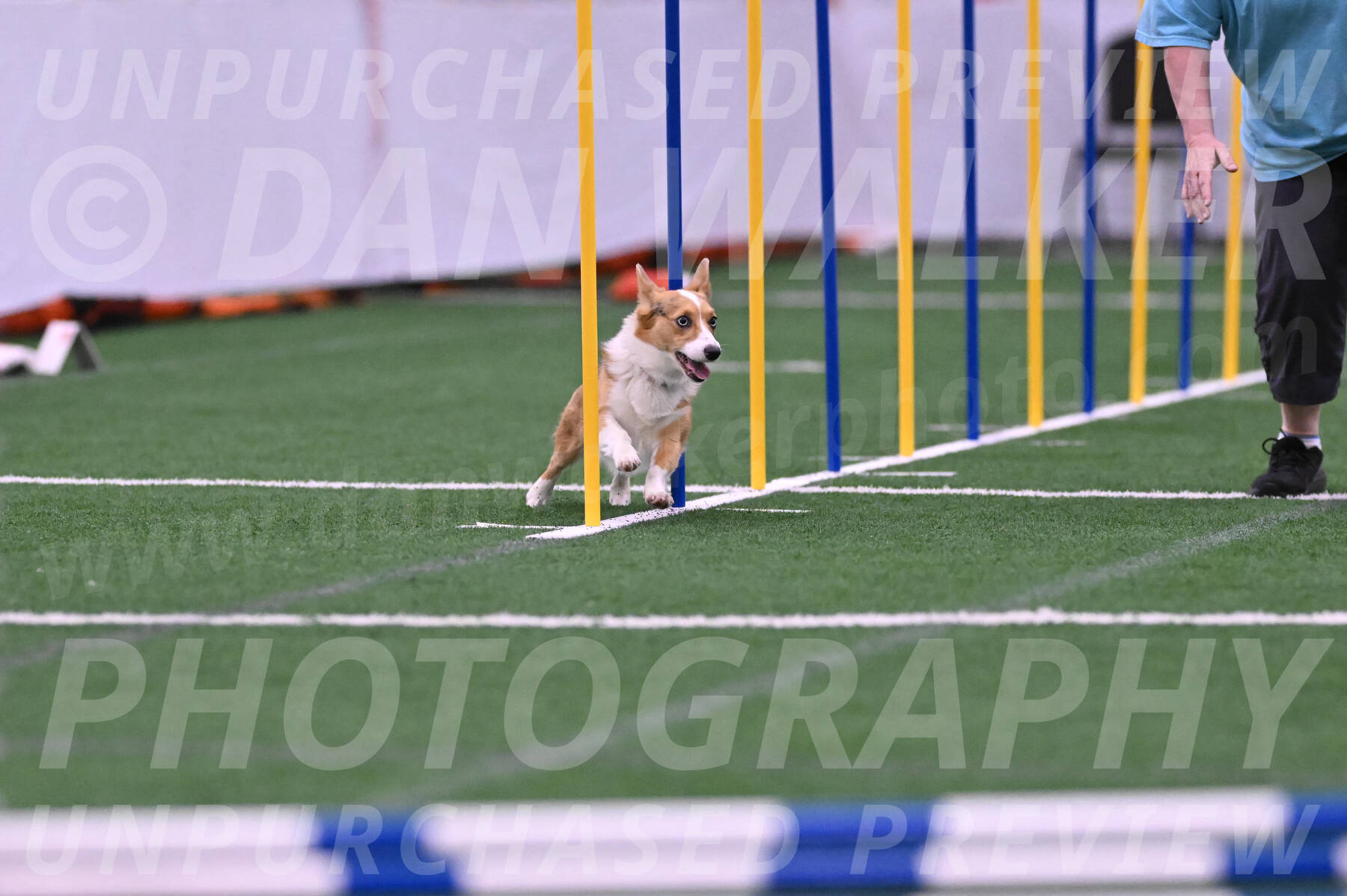 Winnie-Diane-Meredith-02051