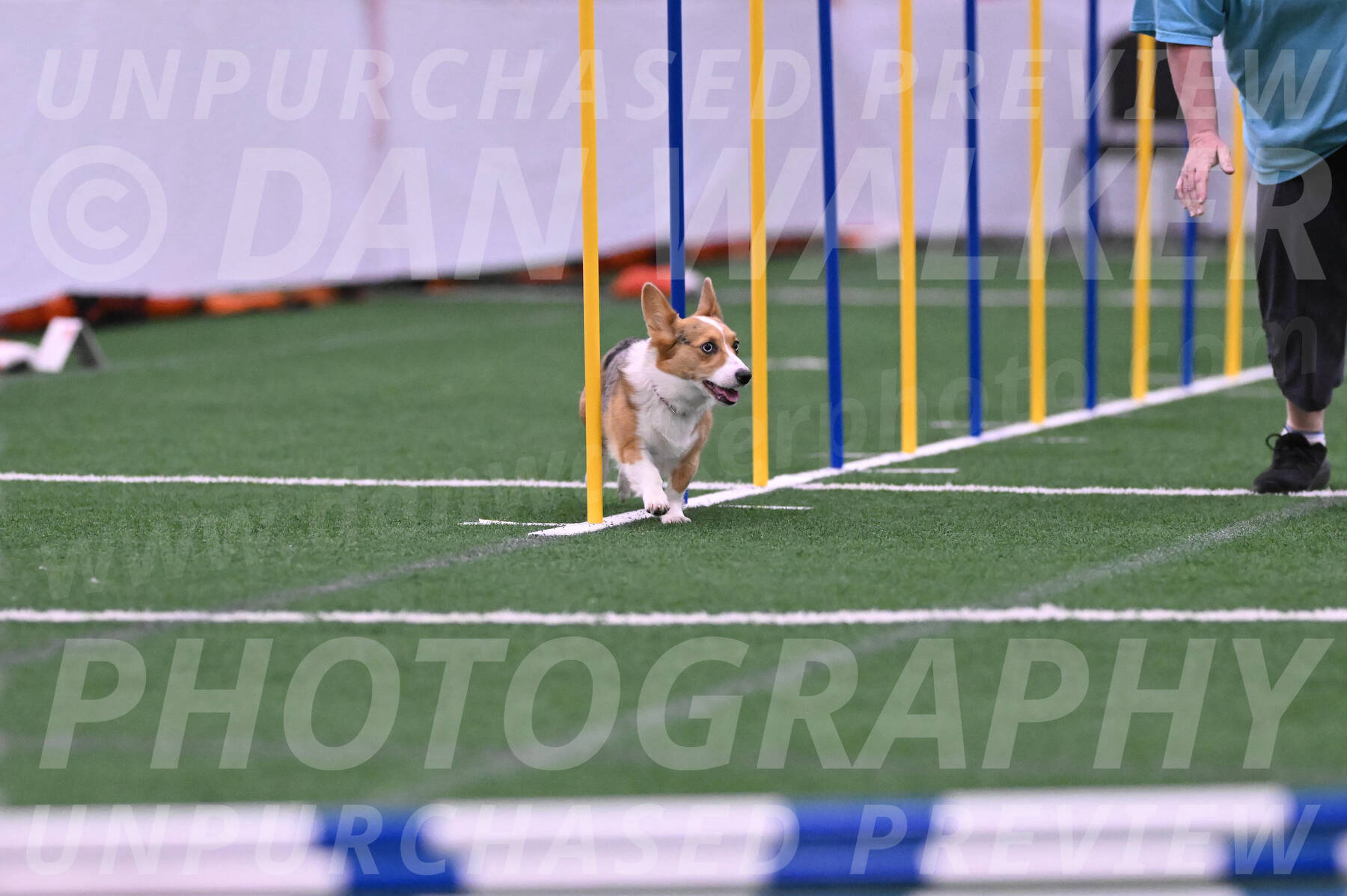 Winnie-Diane-Meredith-02052