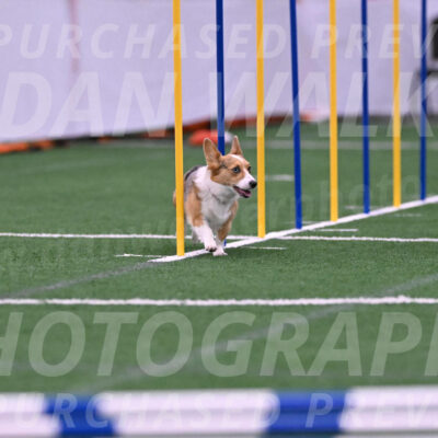 Winnie-Diane-Meredith-02052