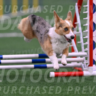 Winnie-Diane-Meredith-02058