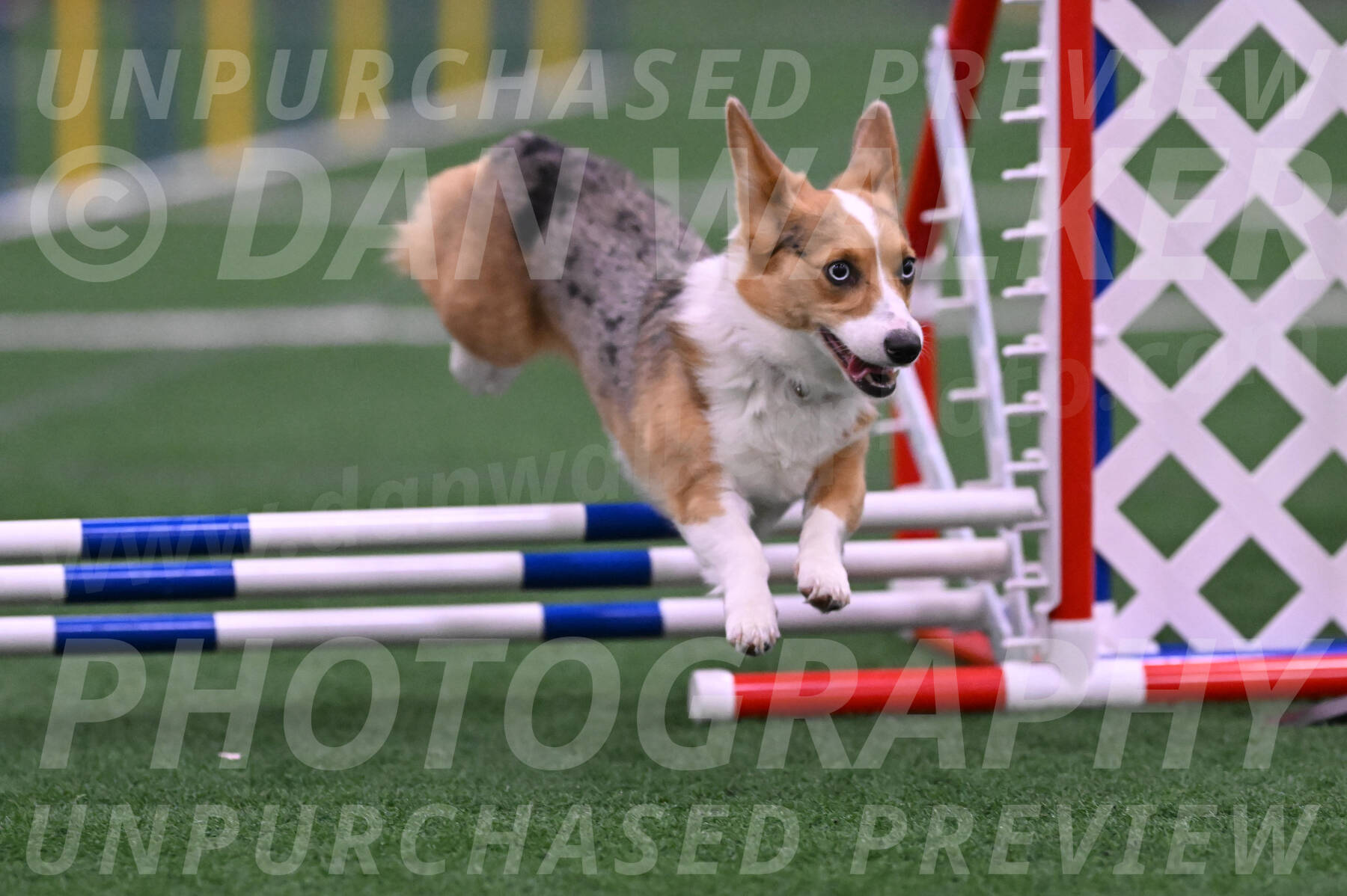 Winnie-Diane-Meredith-02058