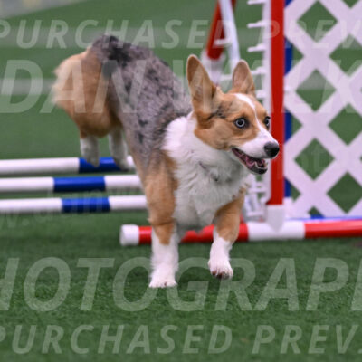 Winnie-Diane-Meredith-02059