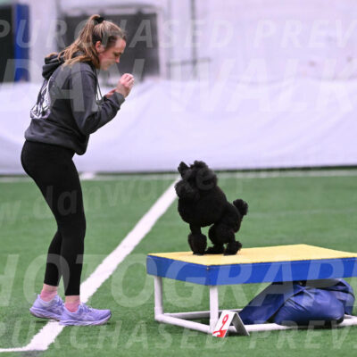 Winston-Madison-Canton-23457