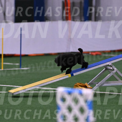 Winston-Madison-Canton-23570