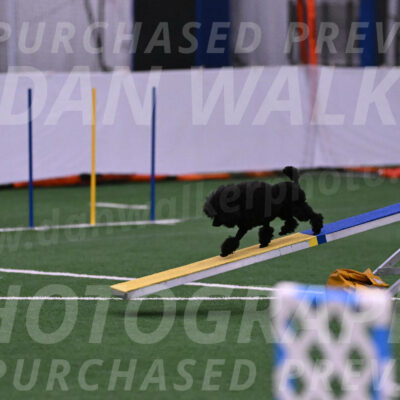 Winston-Madison-Canton-23574