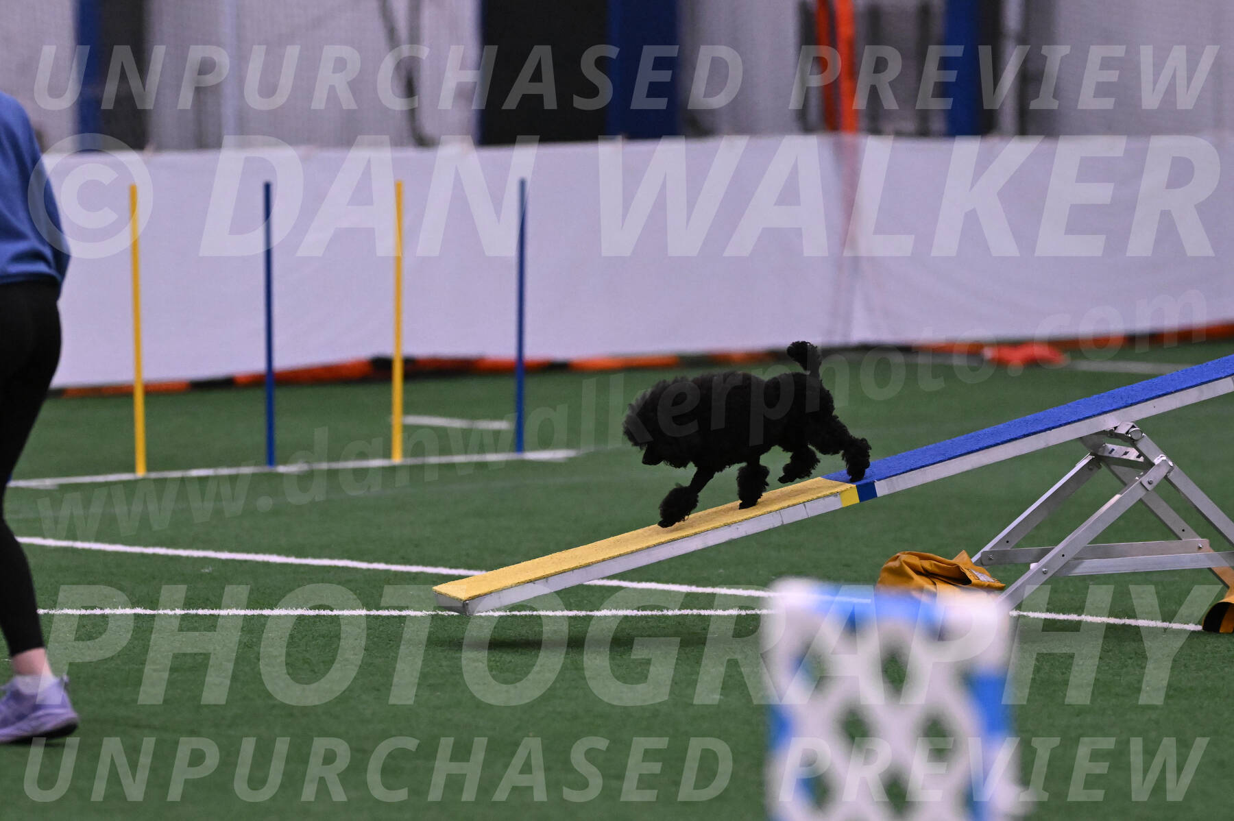 Winston-Madison-Canton-23574