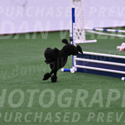 Winston-Madison-Canton-23579