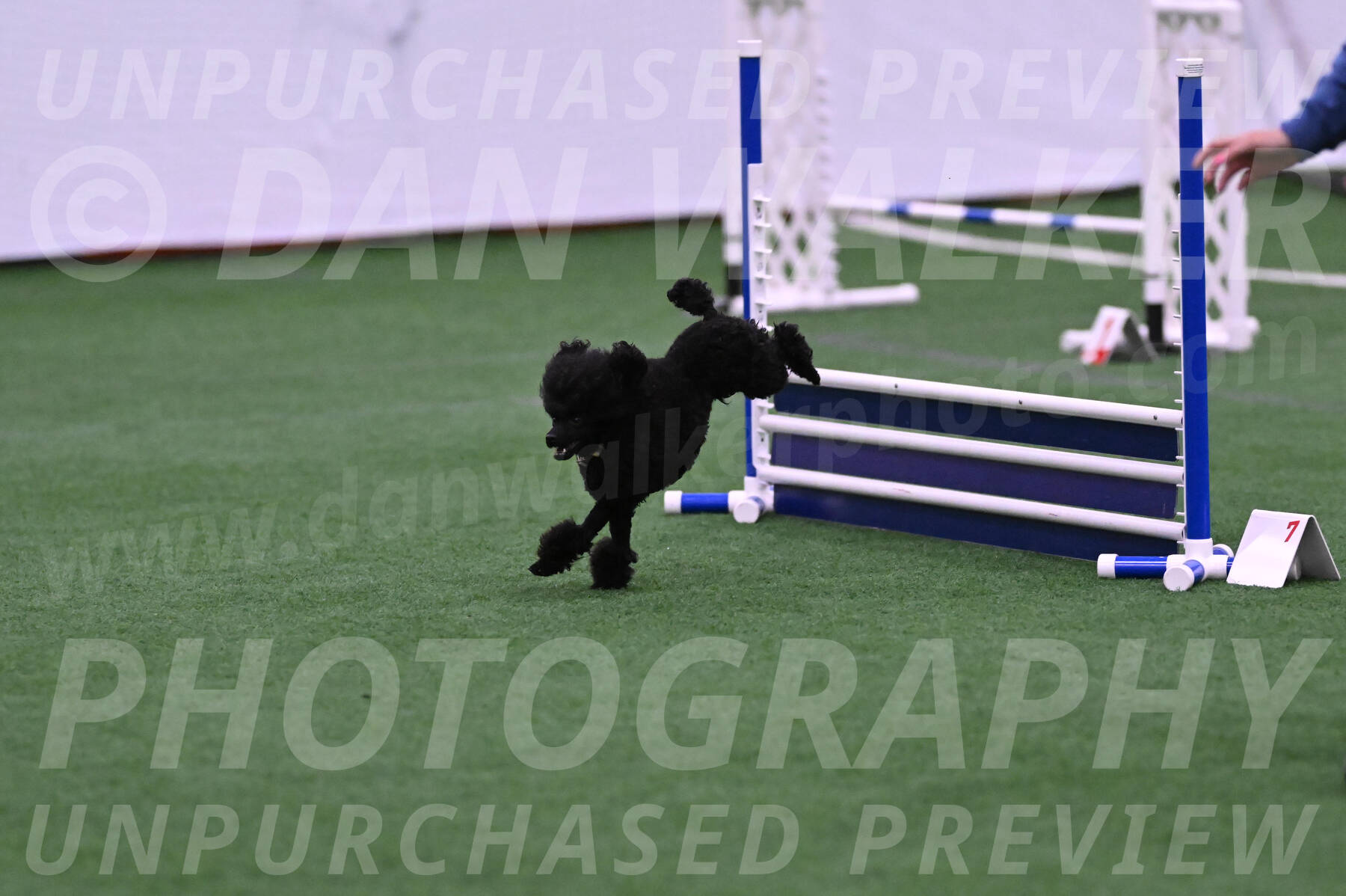 Winston-Madison-Canton-23579