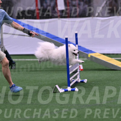 Yeti-Glenn-Rawsky-06734