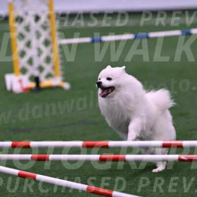 Yeti-Glenn-Rawsky-06742