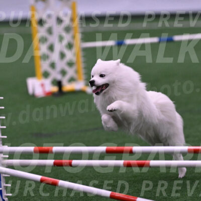 Yeti-Glenn-Rawsky-06743