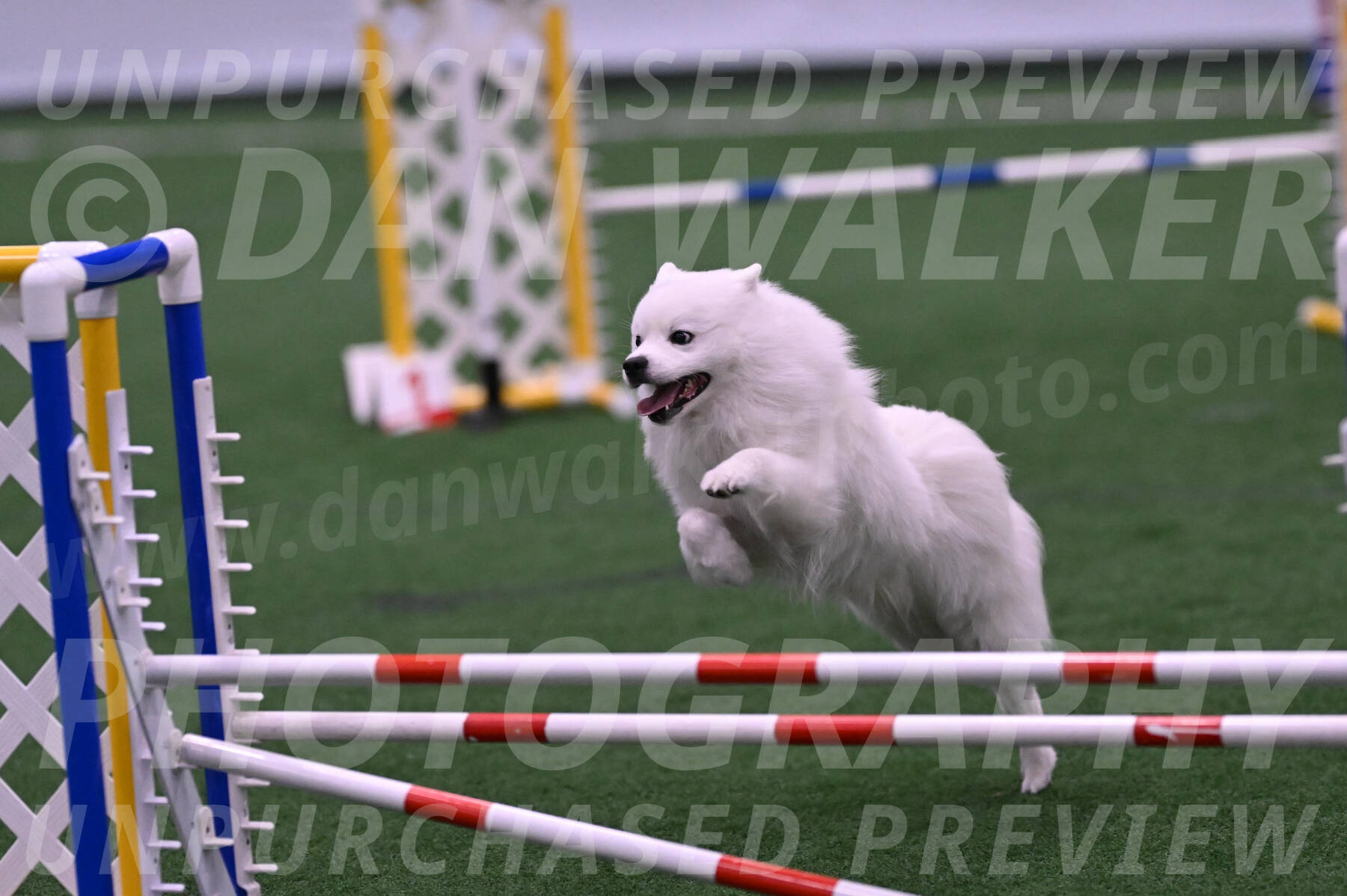Yeti-Glenn-Rawsky-06743