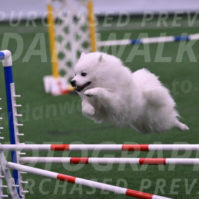 Yeti-Glenn-Rawsky-06744