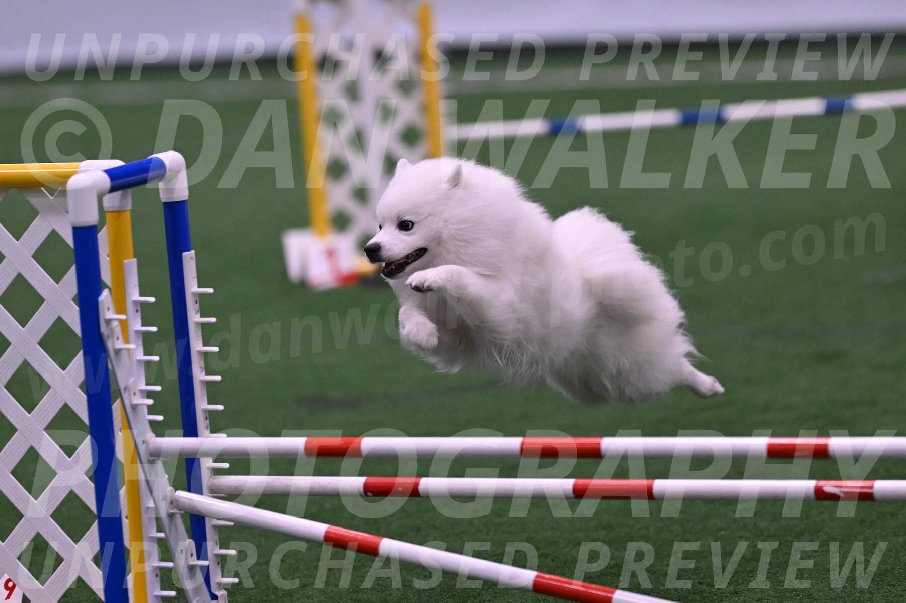Yeti-Glenn-Rawsky-06744