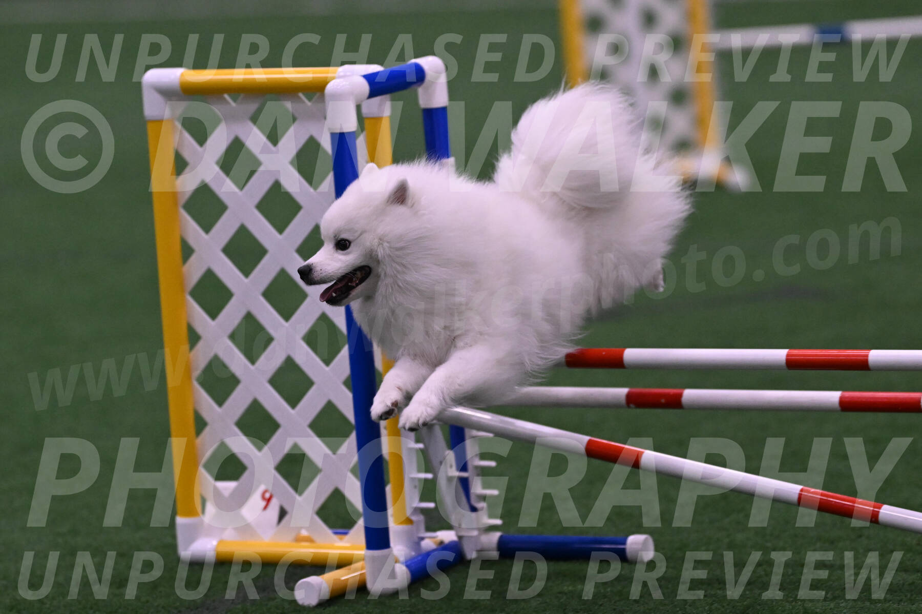 Yeti-Glenn-Rawsky-06747