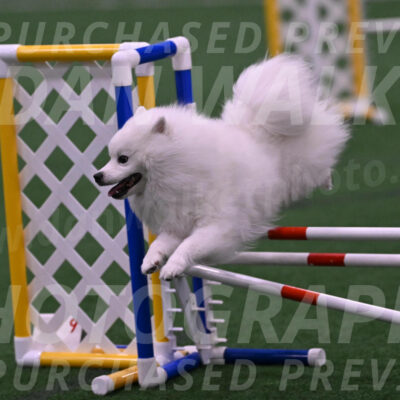 Yeti-Glenn-Rawsky-06747