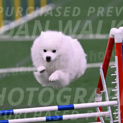 Yeti-Glenn-Rawsky-06749