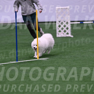 Yeti-Glenn-Rawsky-06766
