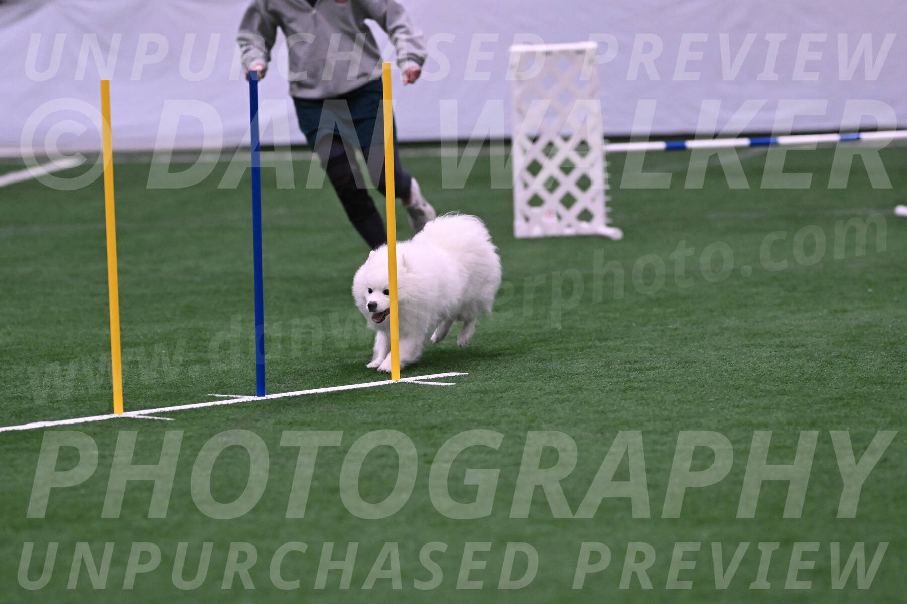 Yeti-Glenn-Rawsky-06766