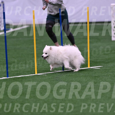 Yeti-Glenn-Rawsky-06769