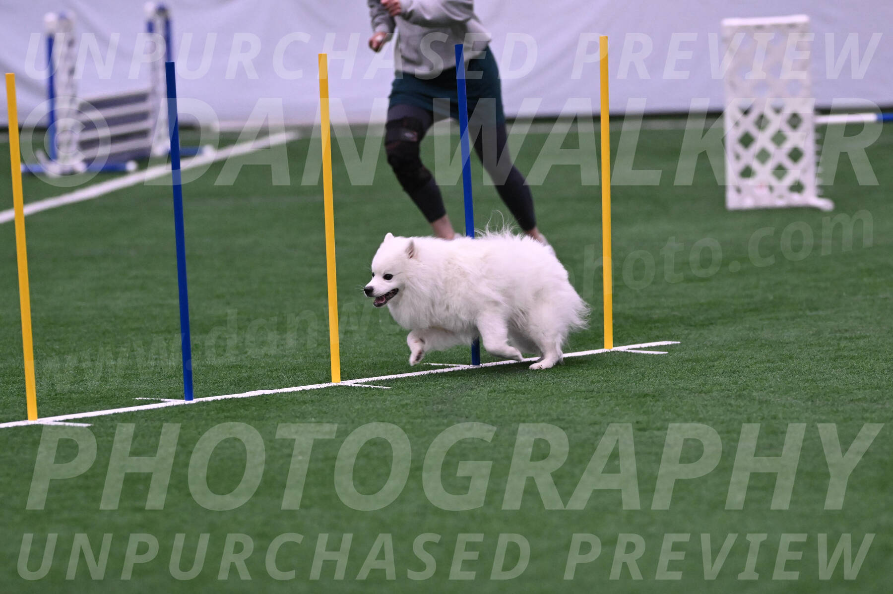 Yeti-Glenn-Rawsky-06769