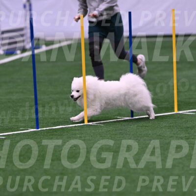 Yeti-Glenn-Rawsky-06770