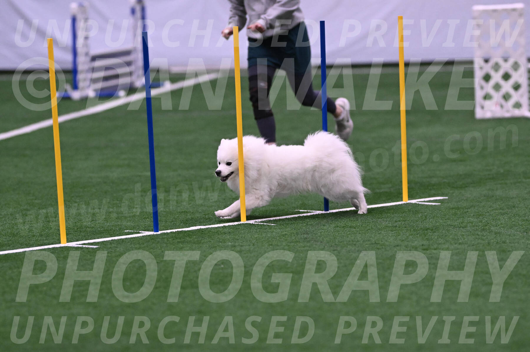 Yeti-Glenn-Rawsky-06770