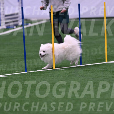 Yeti-Glenn-Rawsky-06771