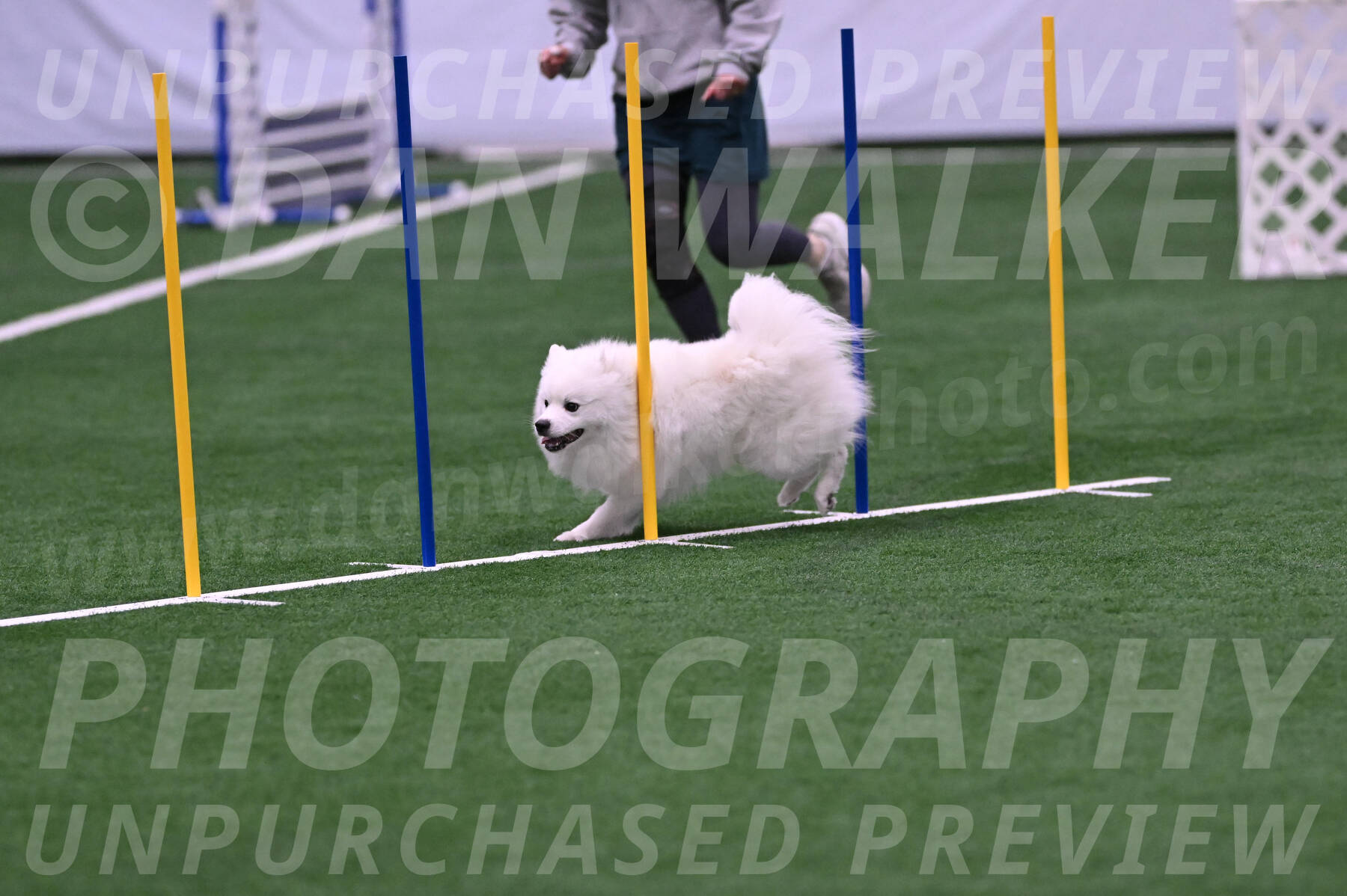 Yeti-Glenn-Rawsky-06771