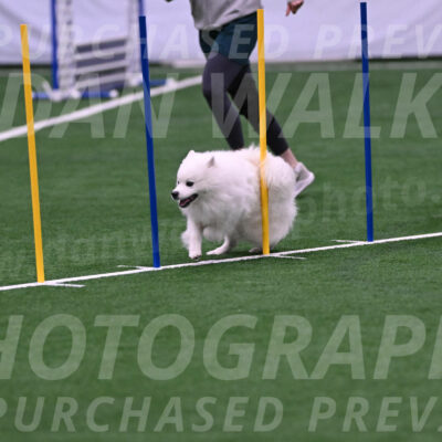 Yeti-Glenn-Rawsky-06772